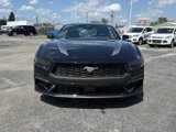 New 2025 Ford Mustang Premium image 3