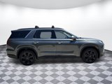 New 2025 Hyundai Palisade XRT image 2