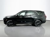 New 2025 Hyundai Palisade Calligraphy image 4