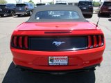 Used 2023 Ford Mustang Premium image 5