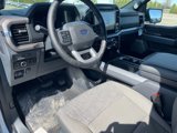 New 2025 Ford F150 XLT w/ Equipment Group 303A High image 6