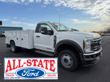 New 2025 Ford F550 4x4 Regular Cab Super Duty image 2