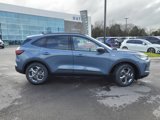 New 2025 Ford Escape ST-Line w/ Tech Pack #1 image 2