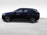 Certified 2023 Hyundai Tucson Limited image 5