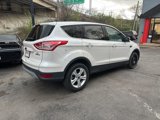 Used 2014 Ford Escape SE image 3