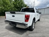Used 2023 Ford F150 XLT image 4