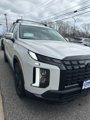 New 2025 Hyundai Palisade XRT image 3