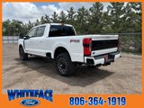 New 2025 Ford F250 Platinum image 4