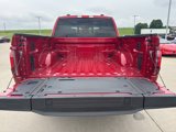 New 2025 Ford F150 Lariat w/ Equipment Group 502A High image 5