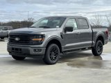 New 2025 Ford F150 XLT image 2