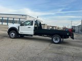 New 2024 Ford F450 XL w/ Snow Plow Prep Package image 6