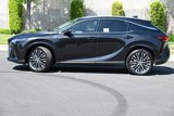 New 2025 Lexus RX 350 image 3