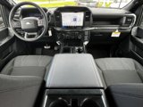 New 2025 Ford F150 STX image 5