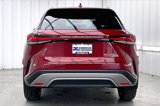 Used 2024 Lexus RX 350 Premium Plus image 4