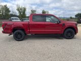 New 2025 Ford F150 XLT image 6