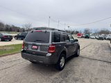 Used 2012 Ford Escape XLT image 5