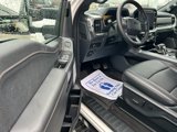 New 2025 Ford F150 Lariat w/ Equipment Group 501A Mid image 6