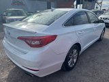 Used 2016 Hyundai Sonata SE image 5