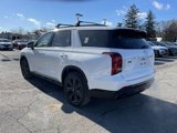 New 2025 Hyundai Palisade XRT image 5