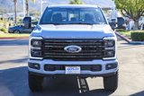 New 2025 Ford F250 Platinum w/ Tremor Off-Road Package image 2