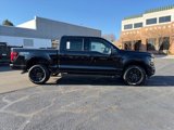 New 2025 Ford F150 XLT w/ Equipment Group 302A MID image 3