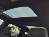 New 2025 Hyundai Palisade Calligraphy image 5