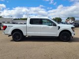 New 2025 Ford F150 XLT w/ Equipment Group 302A MID image 4
