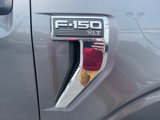 Used 2021 Ford F150 XLT w/ Equipment Group 302A High image 6