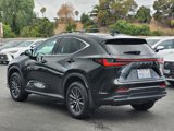 Used 2025 Lexus NX 350 AWD image 6