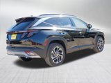 New 2025 Hyundai Tucson Limited image 4