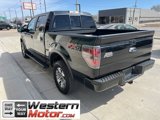 Used 2013 Ford F150 FX4 w/ Luxury Equipment Group image 4