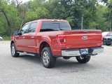 Certified 2023 Ford F150 XLT w/ Equipment Group 302A High image 3