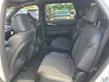 New 2025 Hyundai Palisade Calligraphy image 5