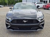 Used 2023 Ford Mustang Premium image 2