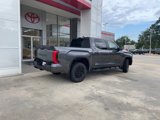 New 2025 Toyota Tundra SR5 image 4