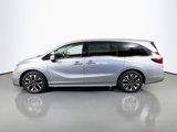 New 2025 Honda Odyssey Elite image 4