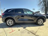 Used 2020 Ford Escape SE image 4