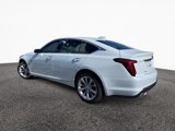 New 2026 Cadillac CT5 Premium Luxury image 4