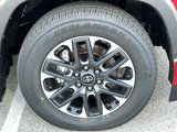 New 2025 Toyota Sequoia Limited image 5