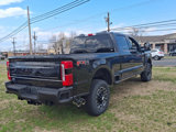 New 2025 Ford F250 Platinum image 4