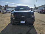New 2025 Ford F150 STX w/ STX Black Appearance Package image 3