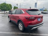 Used 2023 Ford Escape Active w/ Tech Pack #2 image 5