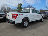 Used 2021 Ford F150 XL w/ Equipment Group 101A High image 4