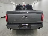 New 2025 Ford F150 XLT w/ Equipment Group 302A MID image 5