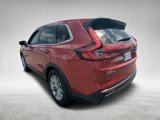 Certified 2025 Honda CR-V EX-L image 5