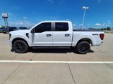 Used 2024 Ford F150 STX w/ STX Black Appearance Package image 5