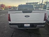 New 2025 Ford F150 XLT w/ Equipment Group 301A Standard image 5