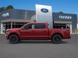 New 2025 Ford F150 XLT image 3