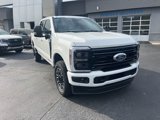 New 2025 Ford F250 Platinum image 2