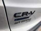New 2026 Honda CR-V TrailSport image 5